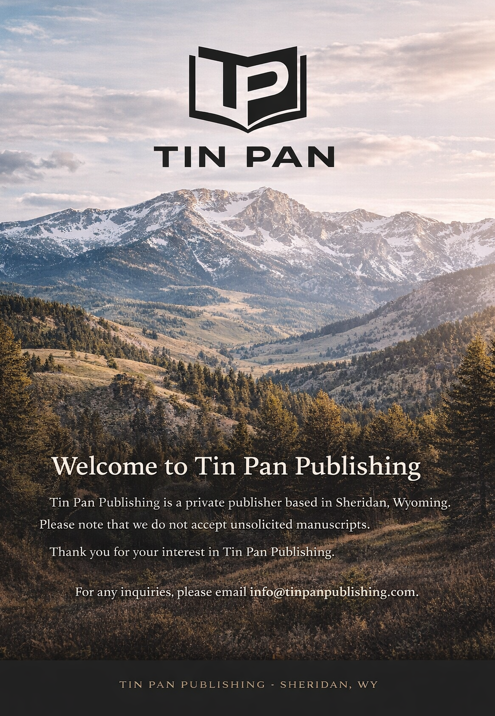 Tin Pan Publishing webpage image